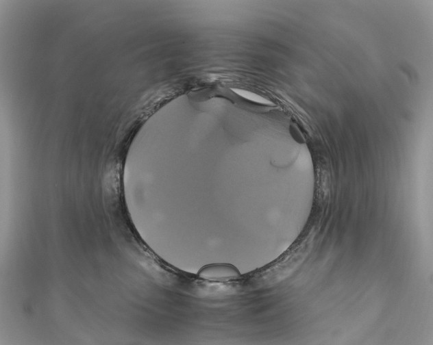 X0000110990475200907171756