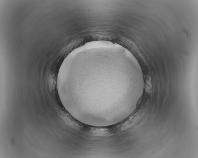 X0000110990476200907171756