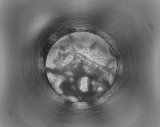 X0000110990477200907171756
