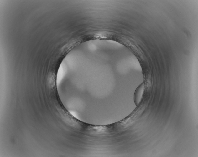 X0000110990478200907171756
