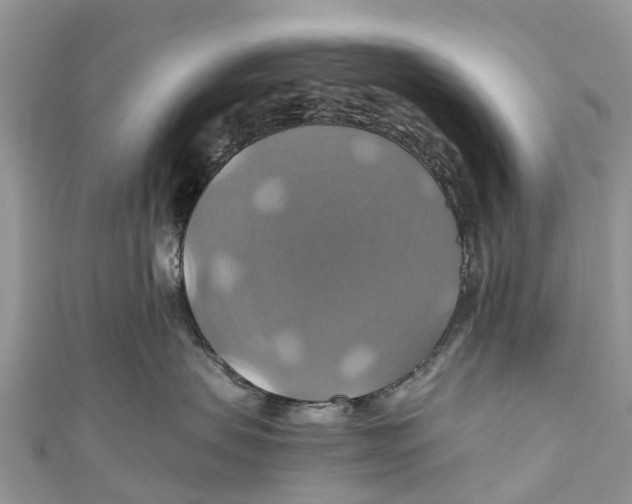 X0000110990479200907171756