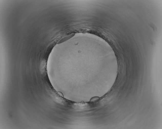 X0000110990480200907171756