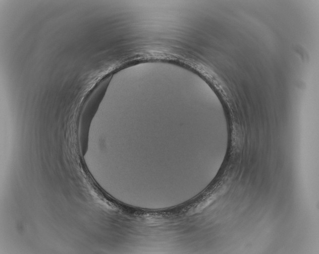 X0000110990481200907171755