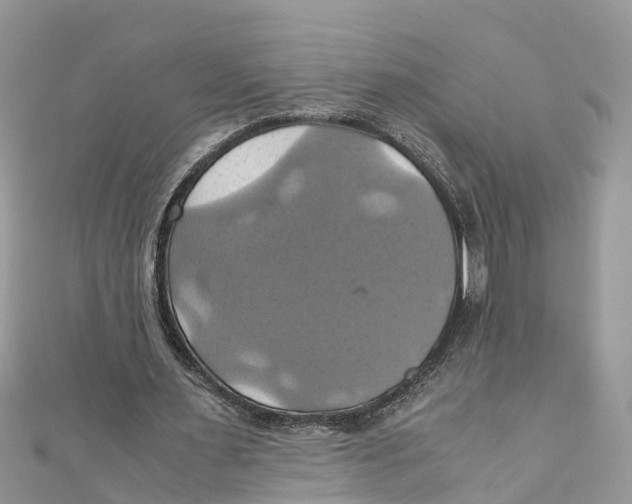 X0000110990483200907171755
