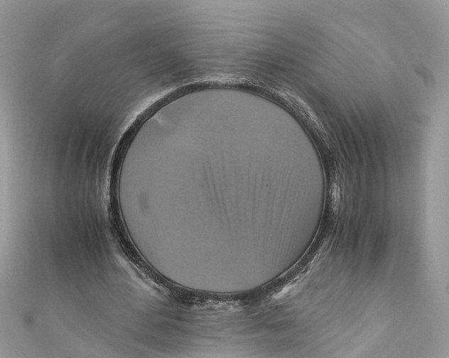 X0000110990484200907171755