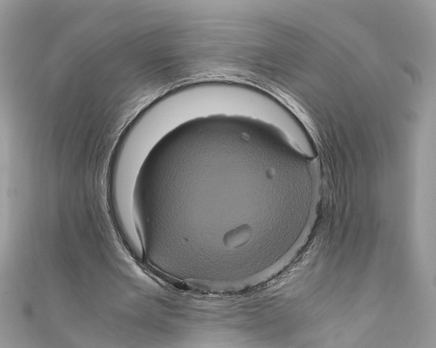 X0000110990485200907171755