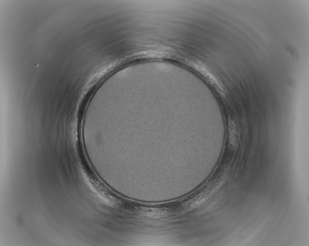 X0000110990486200907171755
