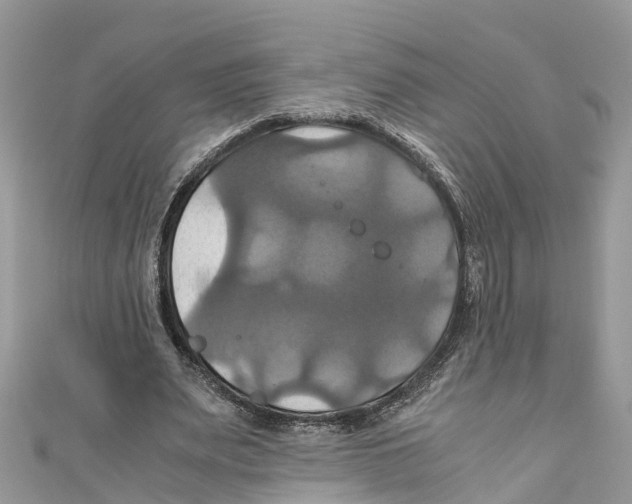 X0000110990487200907171755