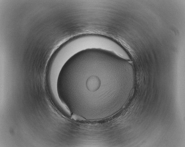 X0000110990488200907171755