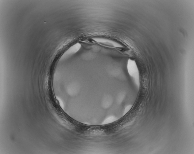 X0000110990491200907171755