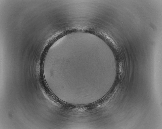X0000110990492200907171755