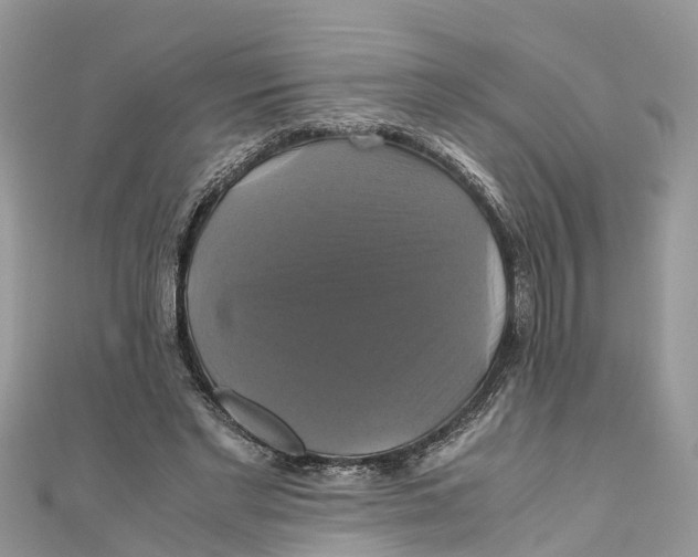X0000110990493200907171755