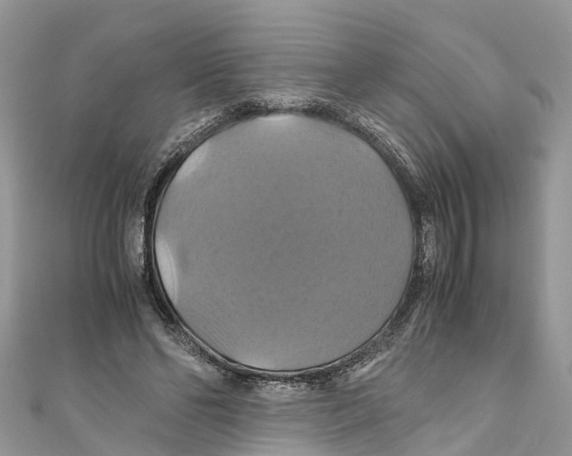 X0000110990494200907171755