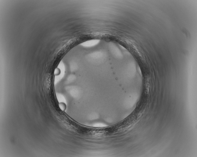 X0000110990495200907171755