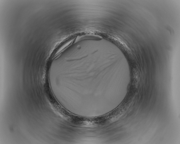 X0000110990496200907171755