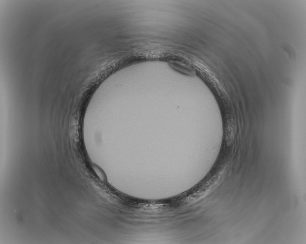 X0000110990497200907171755