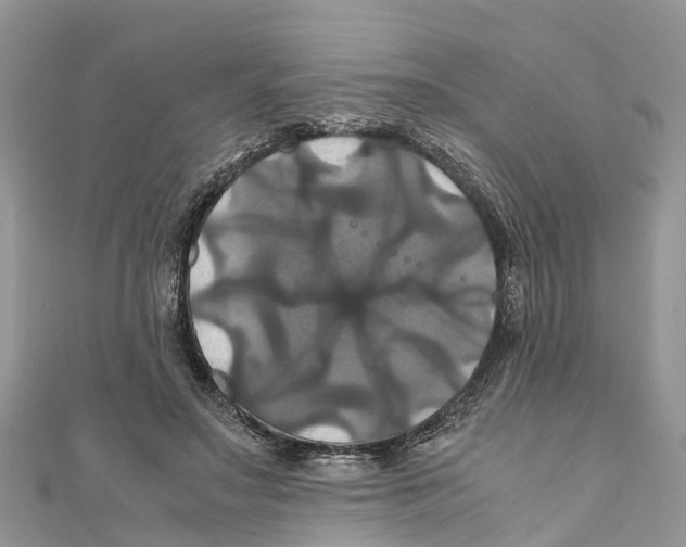 X0000110990499200907171755