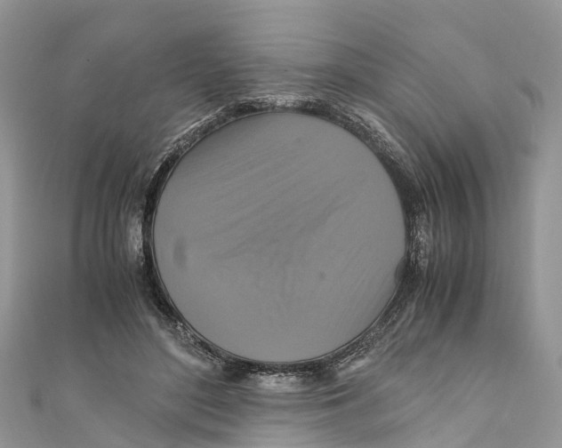 X0000110990500200907171755
