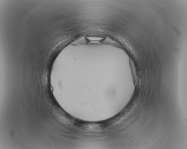 X0000110990501200907171754