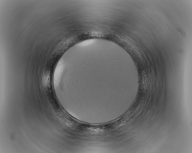 X0000110990502200907171754