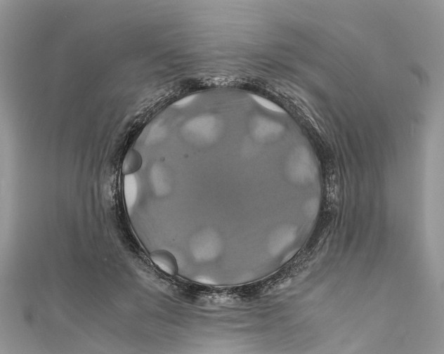 X0000110990503200907171754