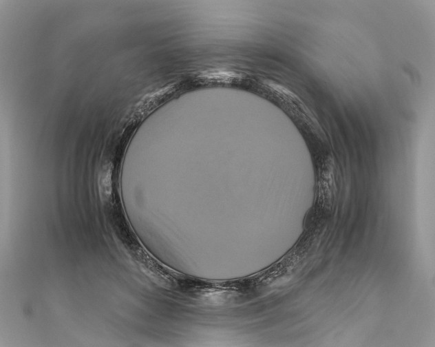 X0000110990504200907171754