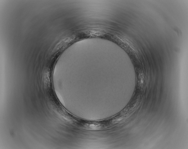 X0000110990506200907171754