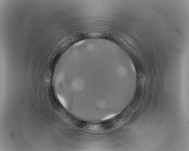 X0000110990507200907171754