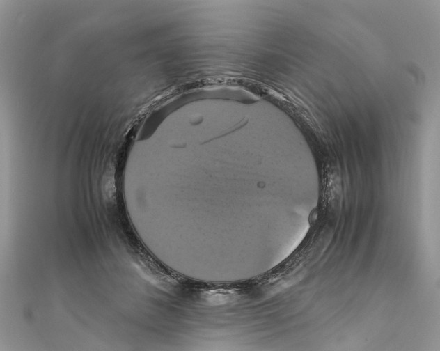 X0000110990508200907171754