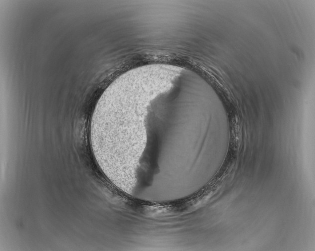 X0000110990511200907171754