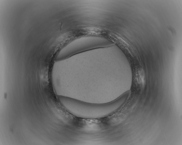 X0000110990512200907171754