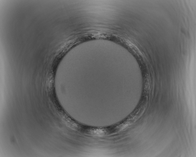 X0000110990513200907171754