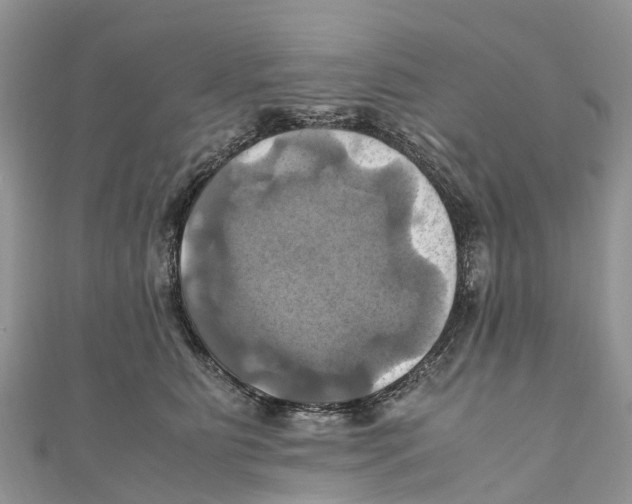 X0000110990515200907171754