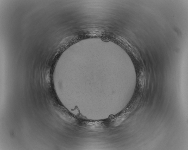 X0000110990516200907171754