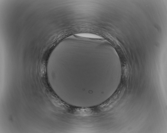 X0000110990517200907171754