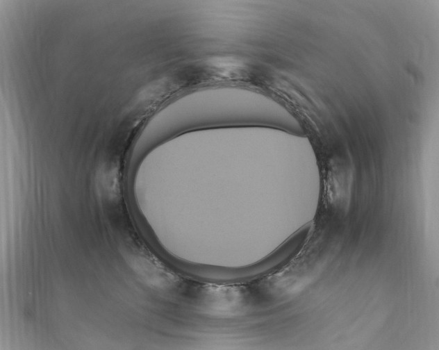 X0000110990520200907171754