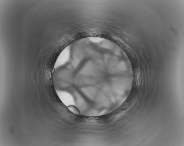 X0000110990523200907171754