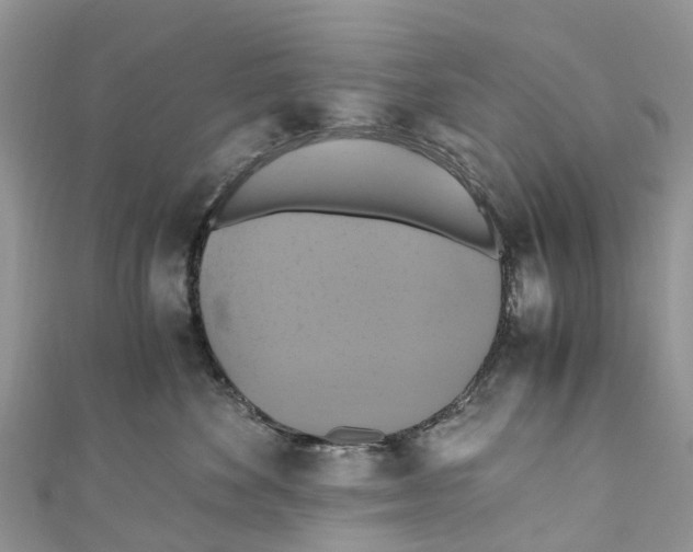 X0000110990524200907171754