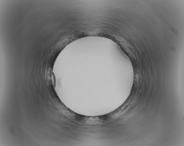 X0000110990525200907171754