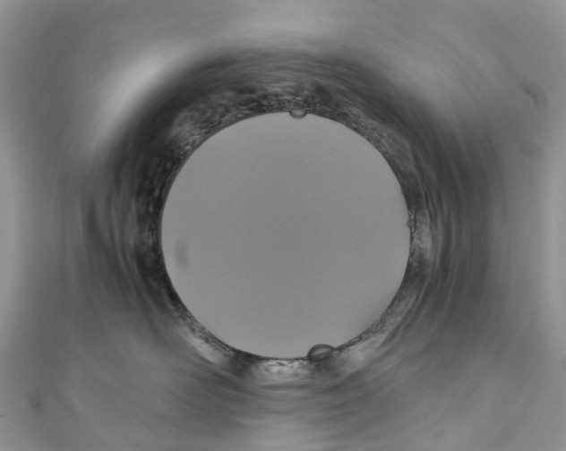 X0000110990526200907171754