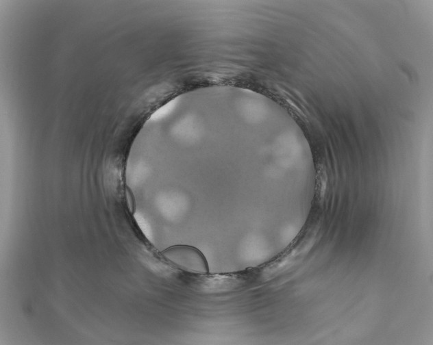 X0000110990527200907171754