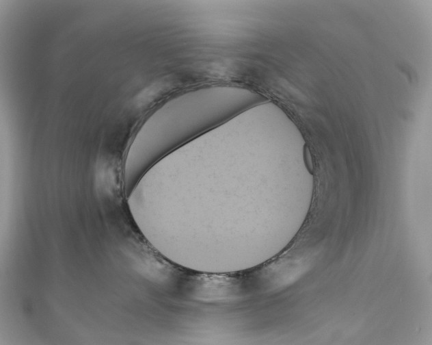 X0000110990528200907171754