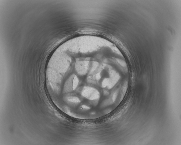 X0000110990529200907171754