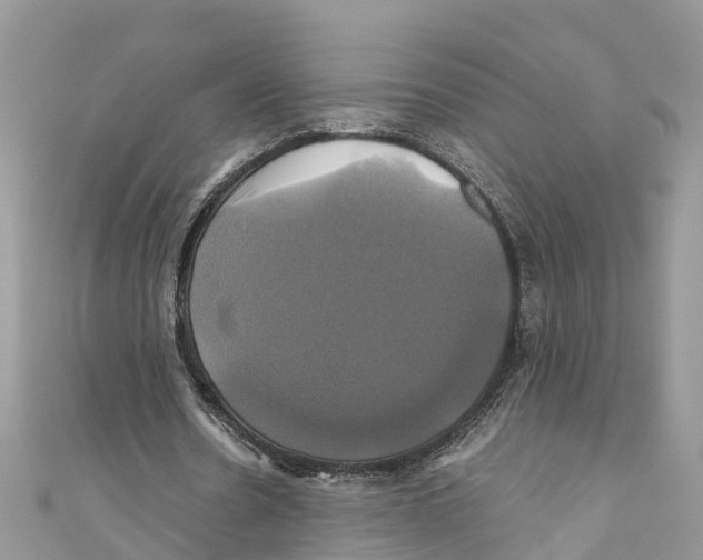 X0000110990530200907171754