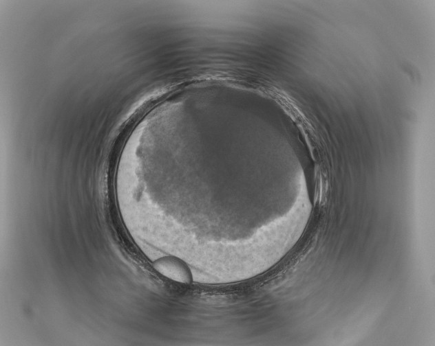 X0000110990531200907171754