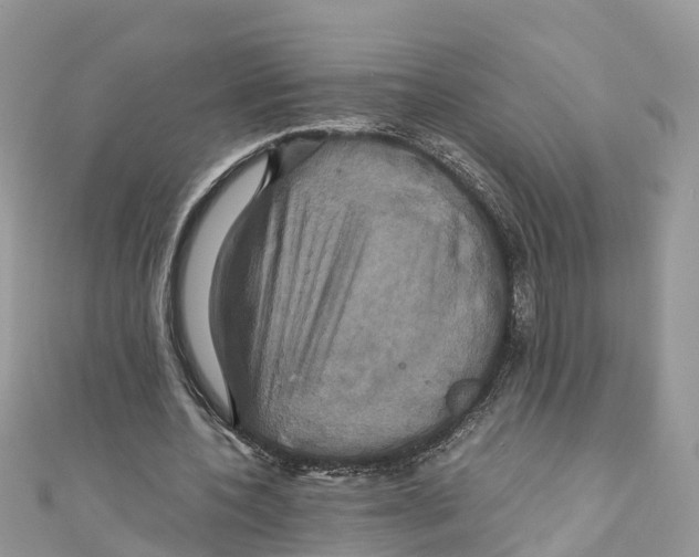 X0000110990532200907171754