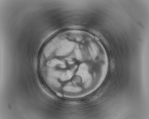 X0000110990533200907171754