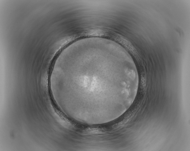 X0000110990534200907171754