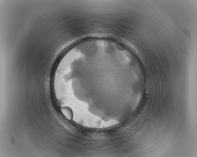 X0000110990535200907171754
