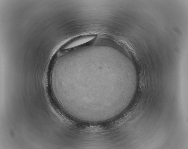 X0000110990536200907171754